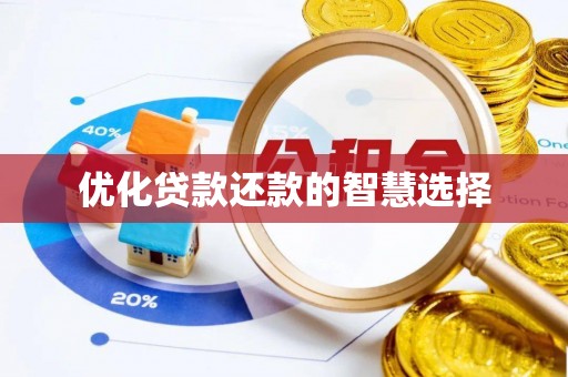 高州优化贷款还款的智慧选择