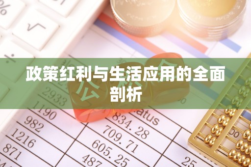 高州政策红利与生活应用的全面剖析